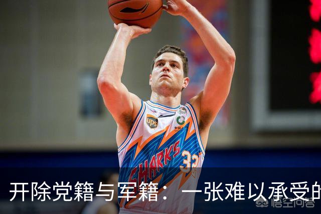 开除党籍与军籍：一张难以承受的代价单！